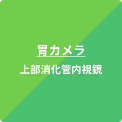 胃カメラ・上部消化管内視鏡検査