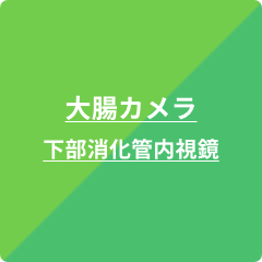 大腸カメラ・下部消化管内視鏡検査